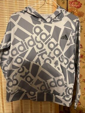 Adidas Boy’s hoodie, Light Gray & White Logo Graphic Hoodie